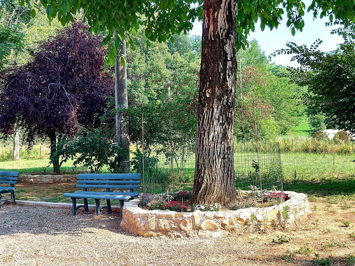 Agriturismo Azienda Agricola Ferrari M.Rita Pozza Exterior photo